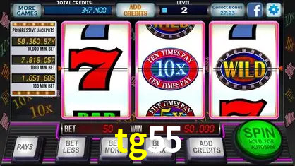 cassino tg55